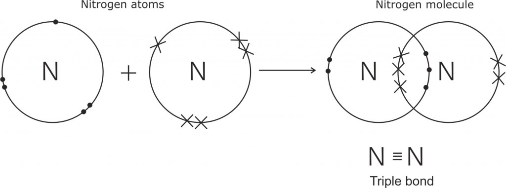 fig_24